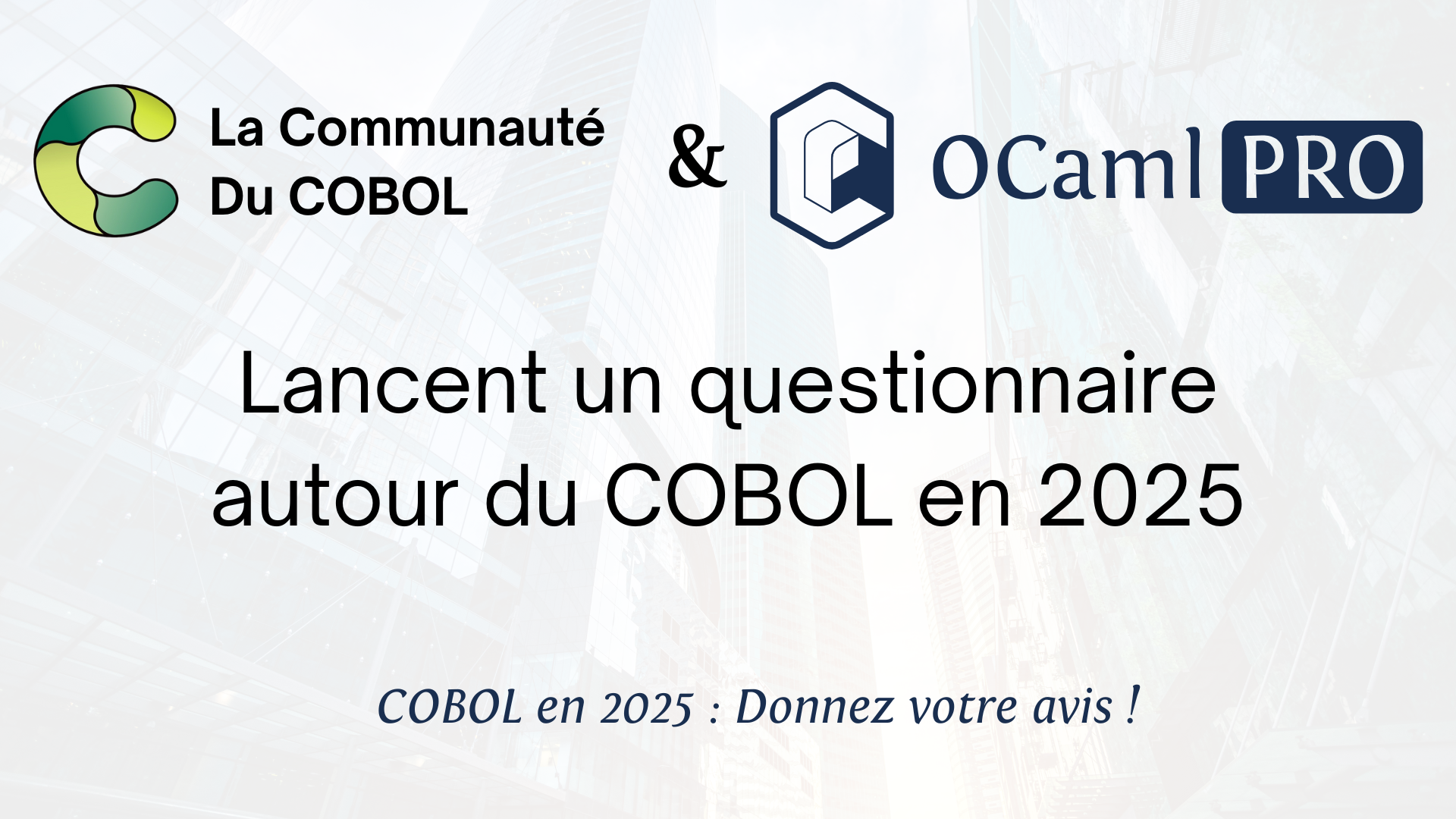 Questionnaire COBOL en France en 2025